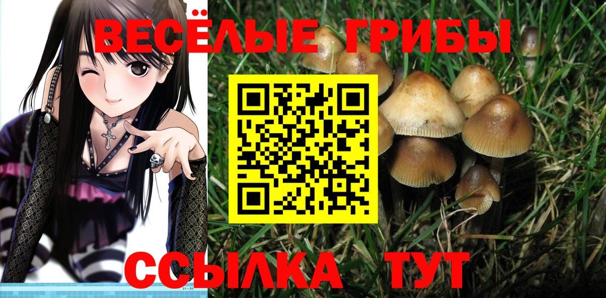 Галлюциногенные грибы Magic Shrooms  Псилоцибиновые грибы Psilocybine cubensis  Гуково  Вход с VPN 