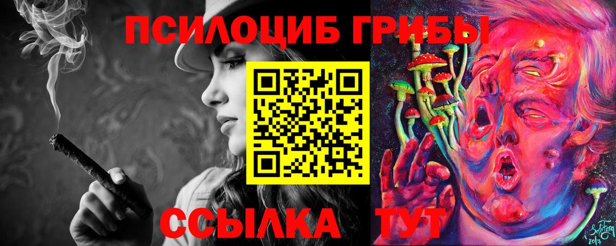 Галлюциногенные грибы Psilocybine cubensis Гуково